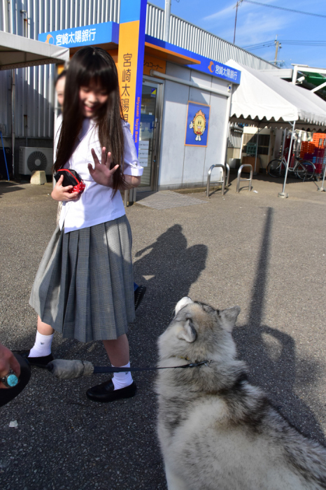 c0049299_21564760.jpg