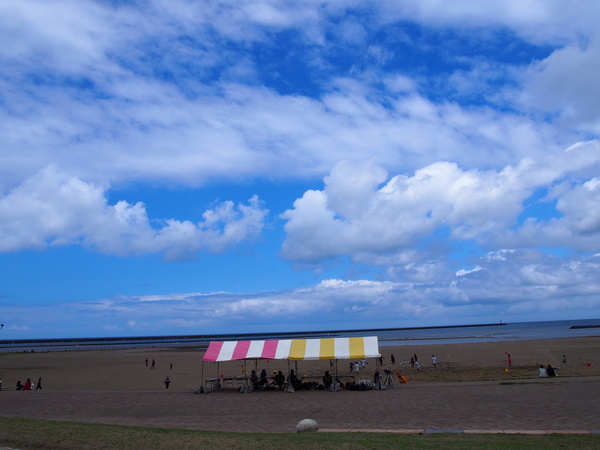 d0293002_2293771.jpg