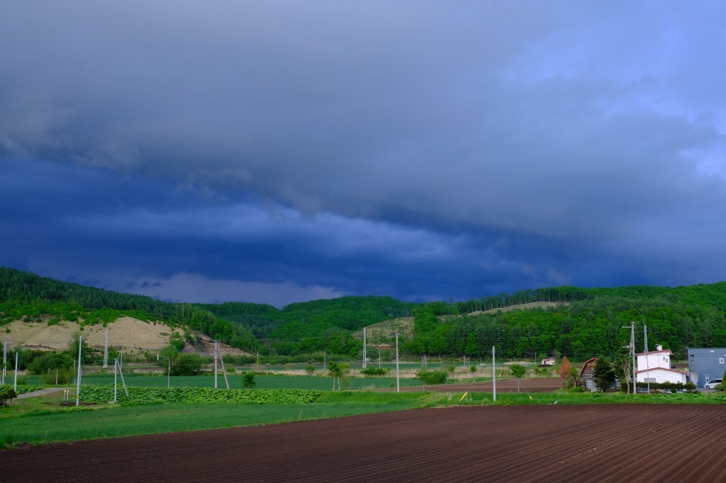 d0051707_20191086.jpg