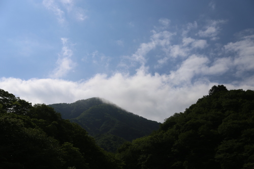 f0296109_17504695.jpg