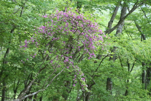f0296109_17583183.jpg