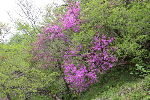 f0296109_18005465.jpg
