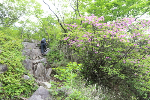 f0296109_18121336.jpg