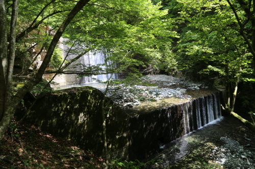 f0296109_18140884.jpg
