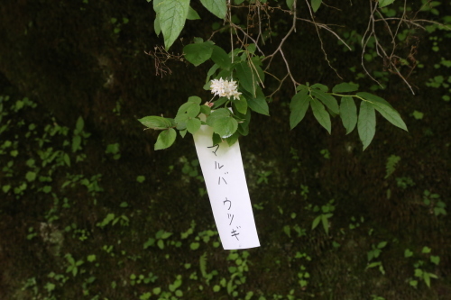 f0296109_18150701.jpg
