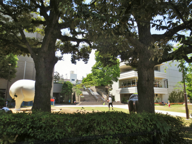 b0064411_06554649.jpg