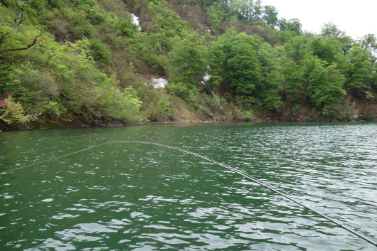 c0232813_23214201.jpg