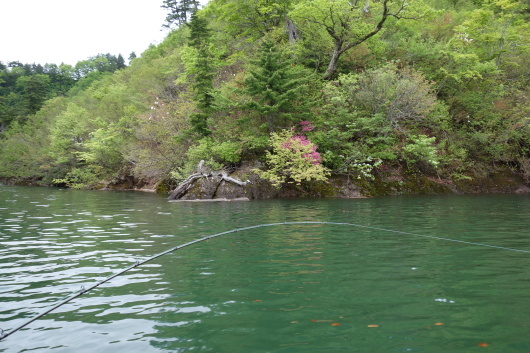 c0232813_23234225.jpg