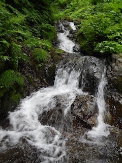 c0359615_20570188.jpg
