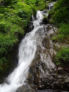 c0359615_20574834.jpg