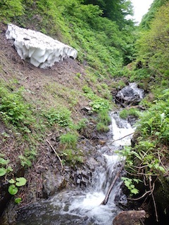c0359615_20580864.jpg