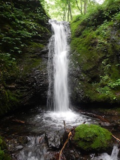 c0359615_20582415.jpg