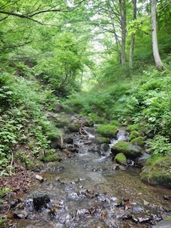 c0359615_20584621.jpg