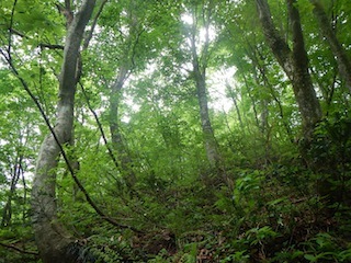 c0359615_20585649.jpg