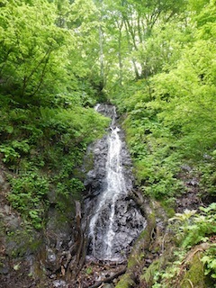 c0359615_20591708.jpg
