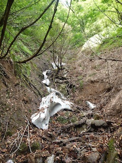 c0359615_20592846.jpg