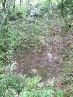 c0359615_20595156.jpg