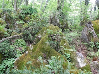 c0359615_21000308.jpg