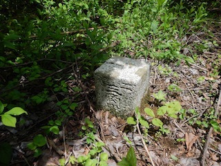 c0359615_21001522.jpg