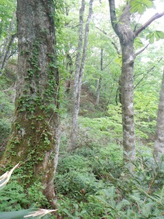 c0359615_21004370.jpg