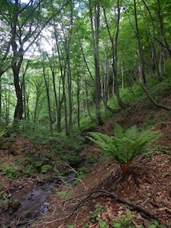 c0359615_21005903.jpg