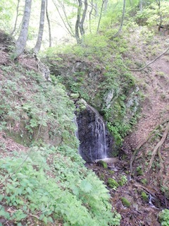 c0359615_21011399.jpg