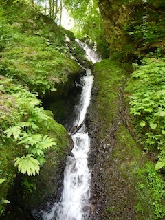 c0359615_21030380.jpg