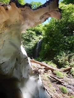 c0359615_21032190.jpg