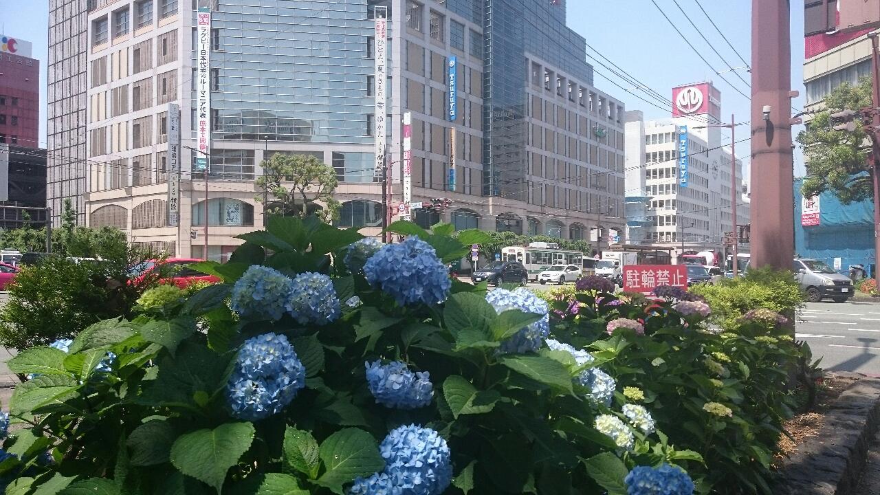 e0350415_05474265.jpg