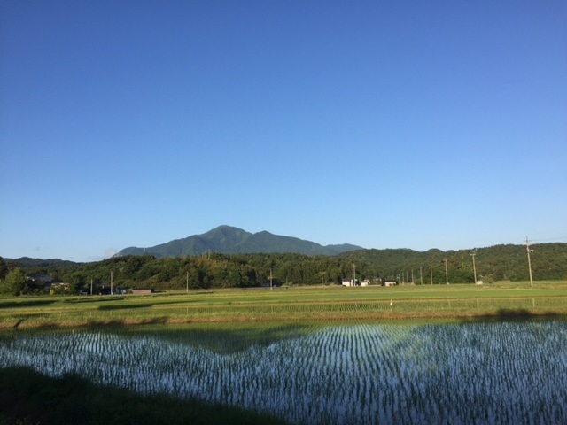 f0149422_11355089.jpg