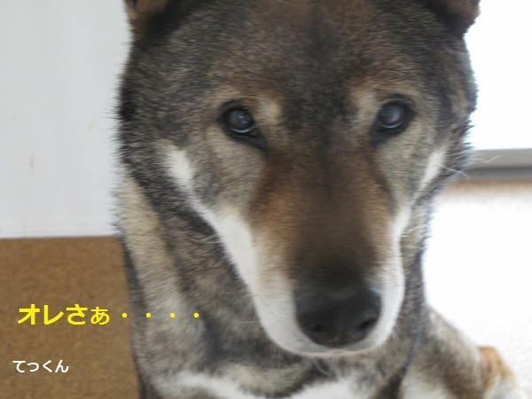 f0143123_09242139.jpg