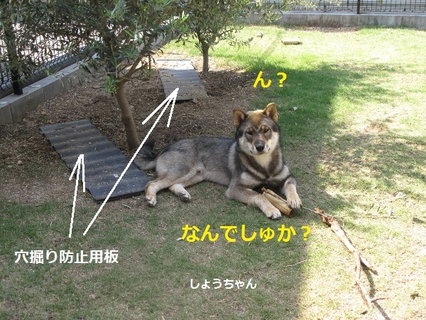 f0143123_10055632.jpg