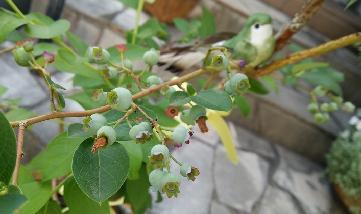 f0002833_16521853.jpg
