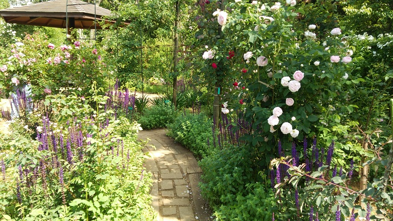 f0002833_16573161.jpg