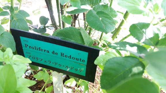 f0002833_16583453.jpg