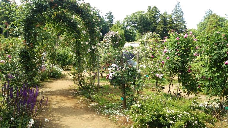 f0002833_1658566.jpg