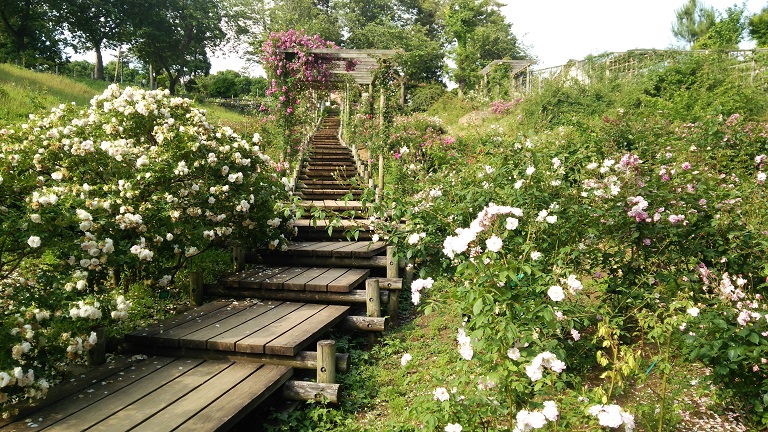f0002833_1702490.jpg
