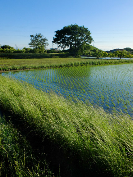 f0032137_07381249.jpg