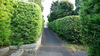 d0013739_08451500.jpg