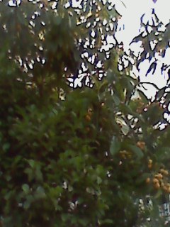 e0150843_23144815.jpg
