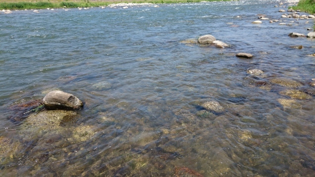 e0343445_17581544.jpg
