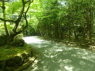 b0126549_18523090.jpg