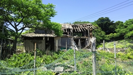 c0134850_01324953.jpg