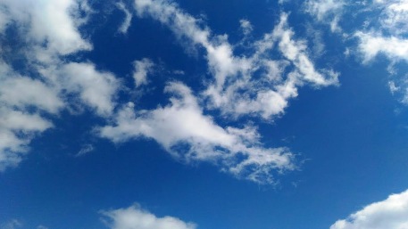 c0190960_7454589.jpg