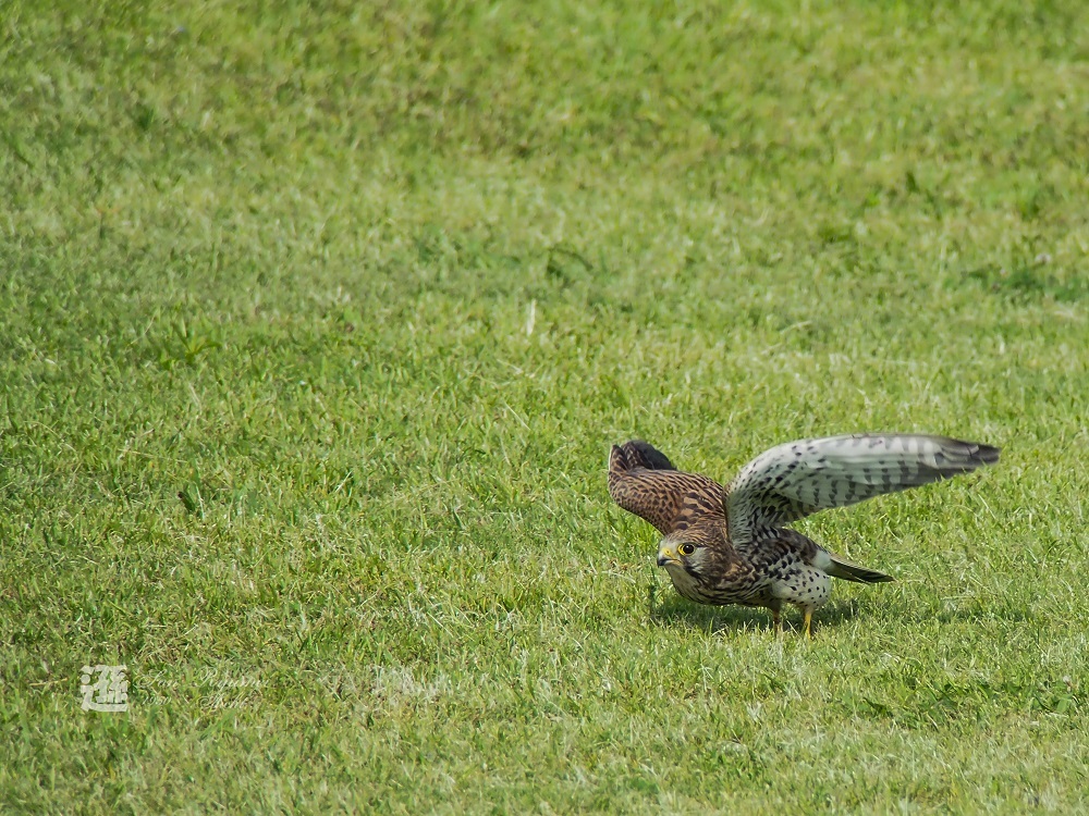 a0330864_17213913.jpg