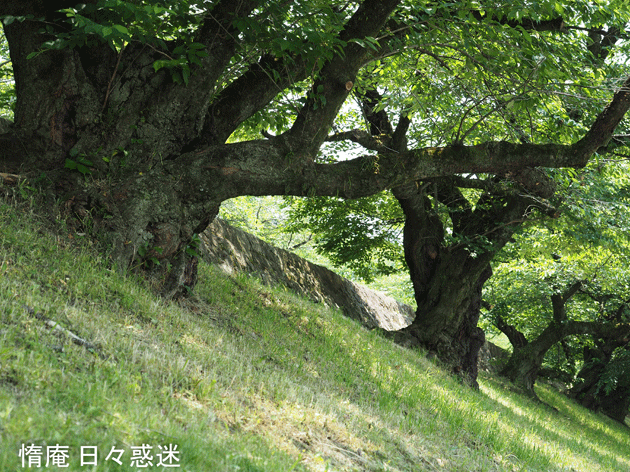 e0346064_16210657.gif