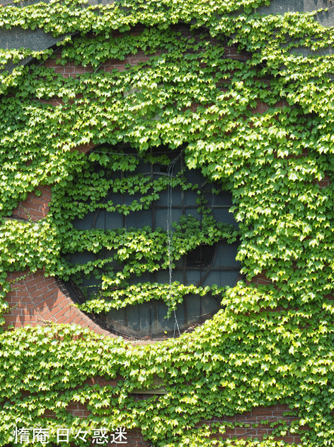 e0346064_16210680.gif
