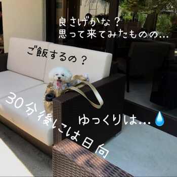 f0322570_20305952.jpg