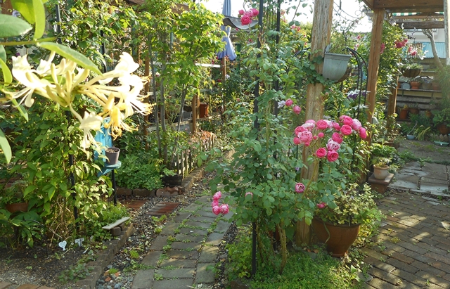 f0366679_23491241.jpg