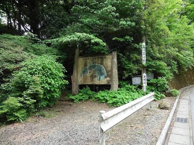 f0017185_20484756.jpg